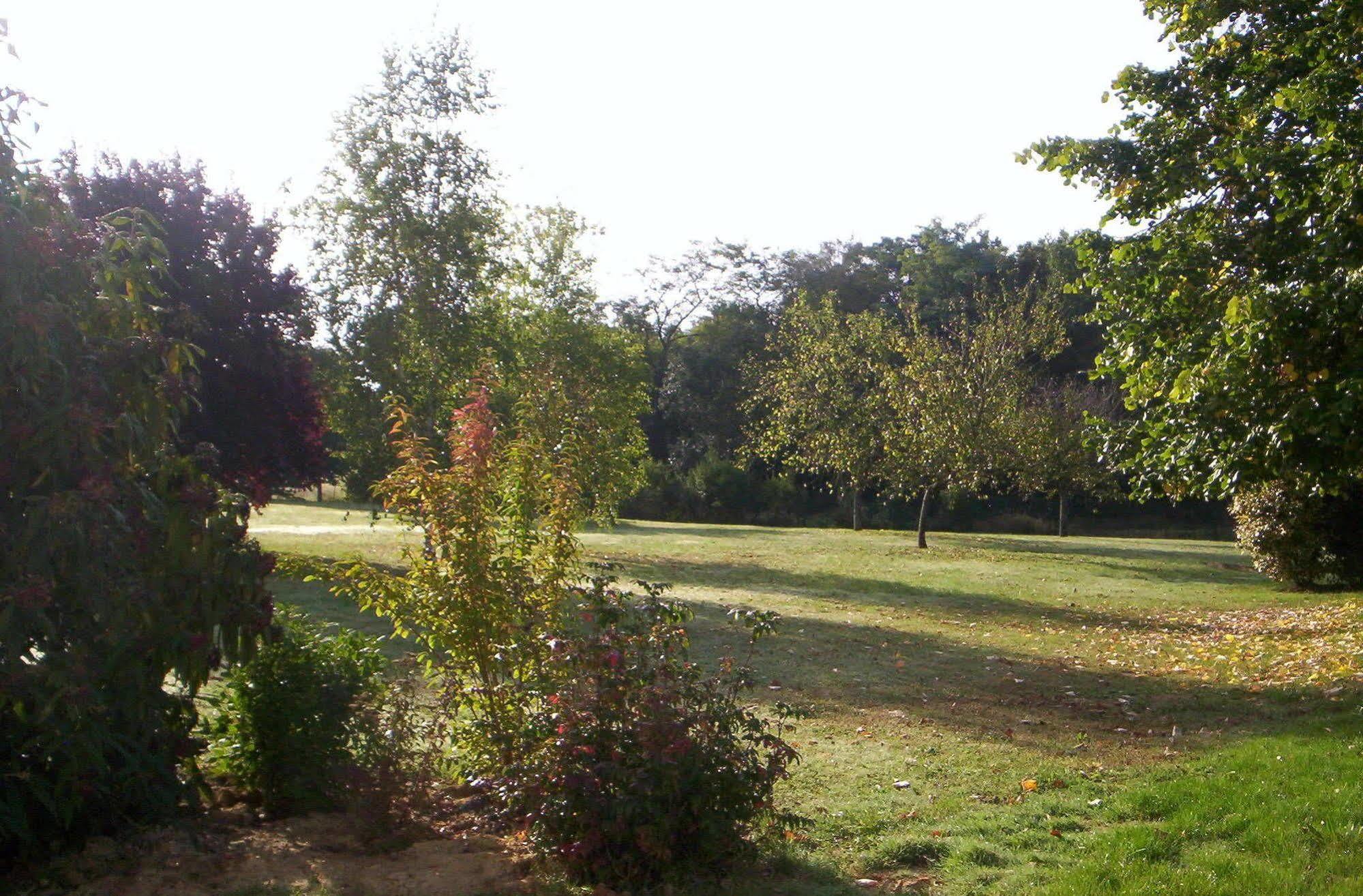 Ibis Amboise Hotel Bagian luar foto